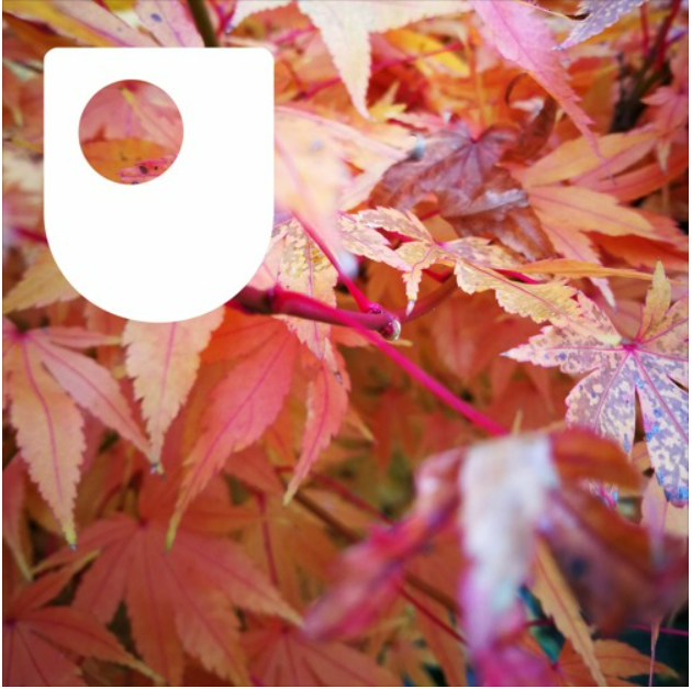 Research at the OU Graduate School podcast